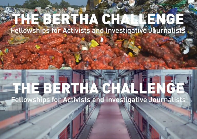 bertha