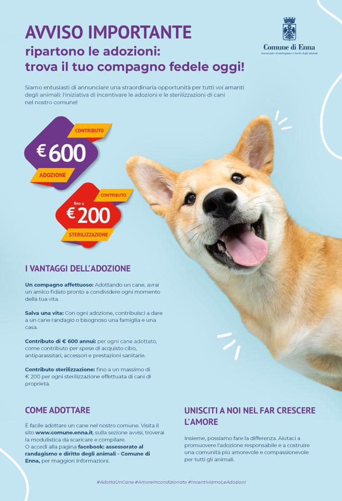 adozioni cani