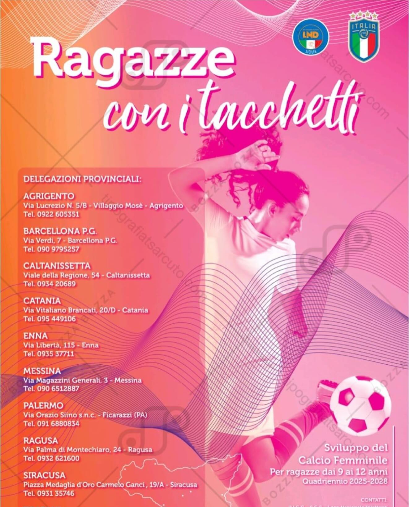 tacchetti 1