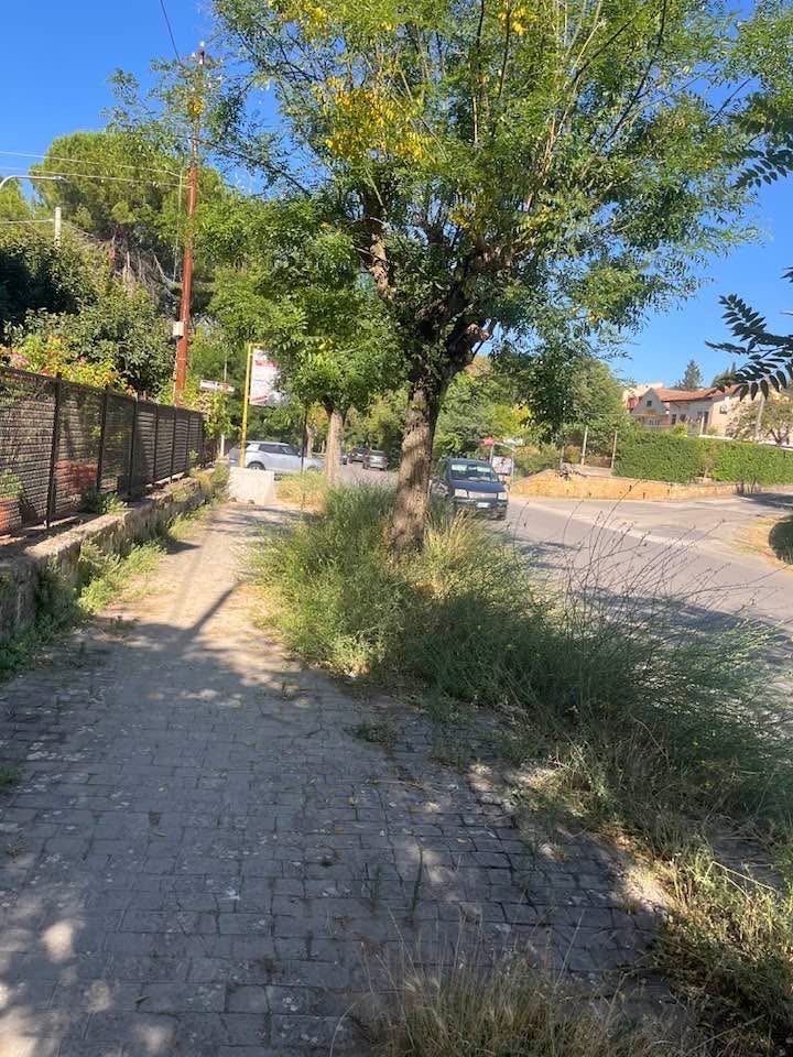 pergusa 2