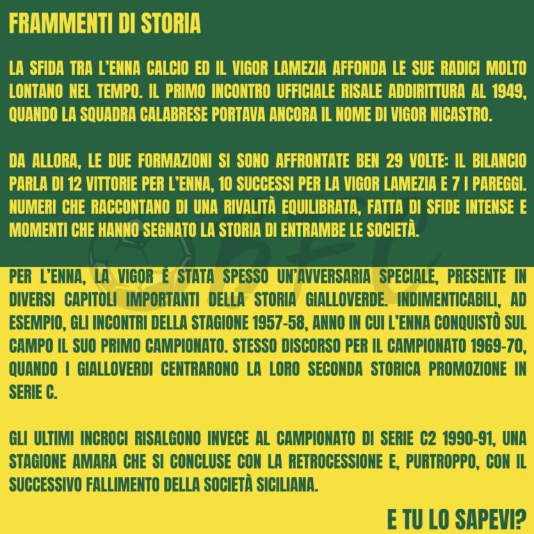 vigor lamezia