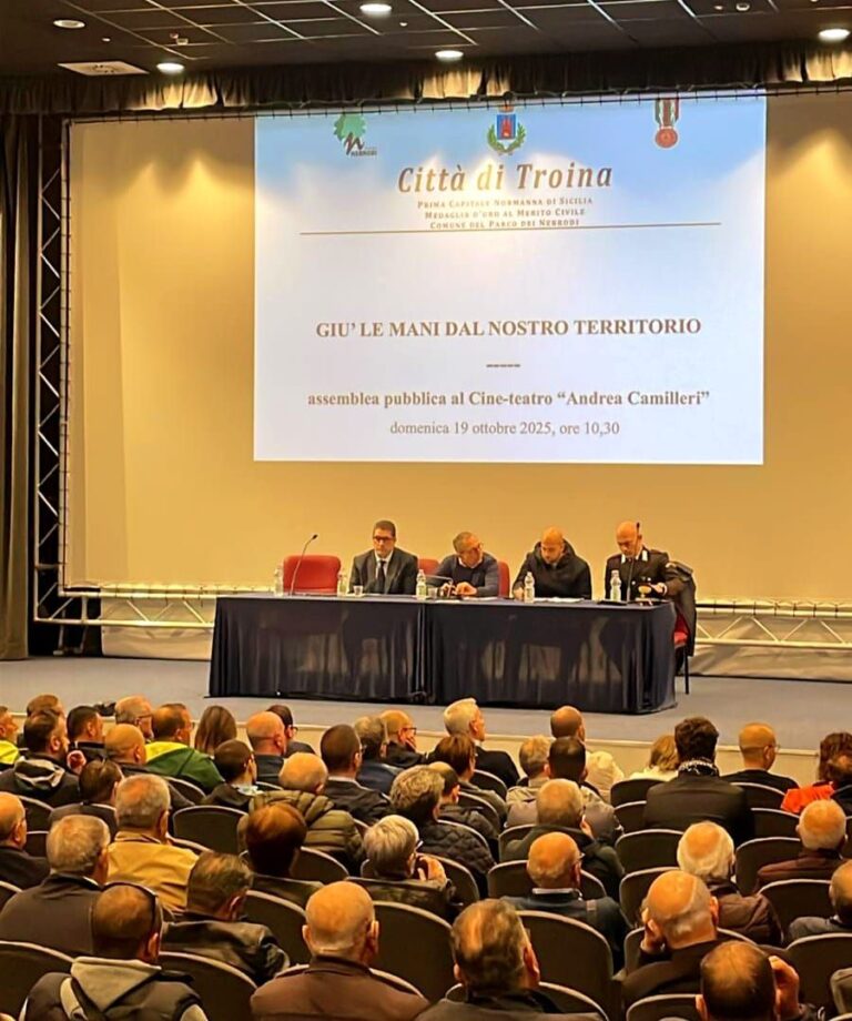 assemblea pubblica