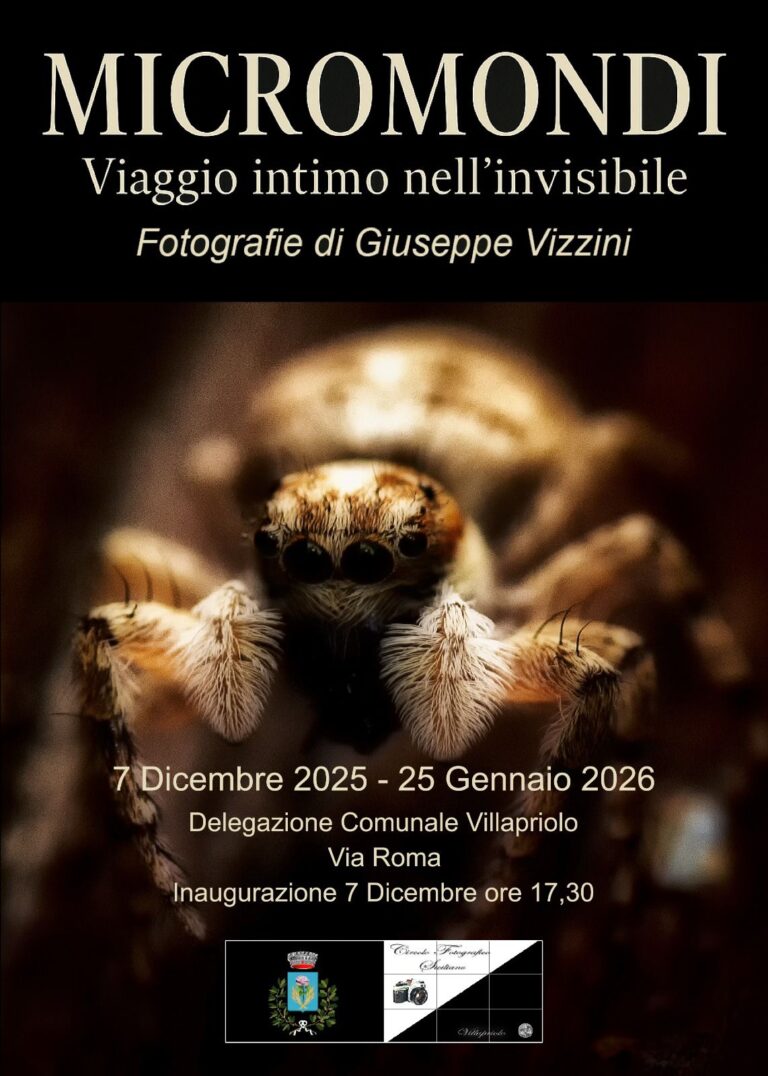 micromondi