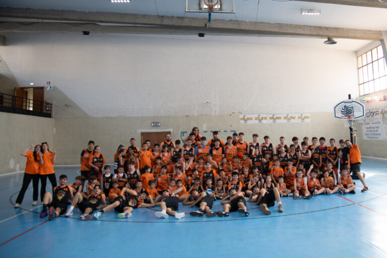 festa basket