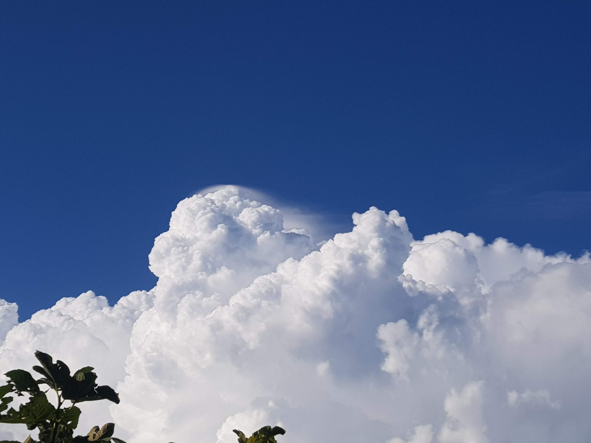 meteo 30