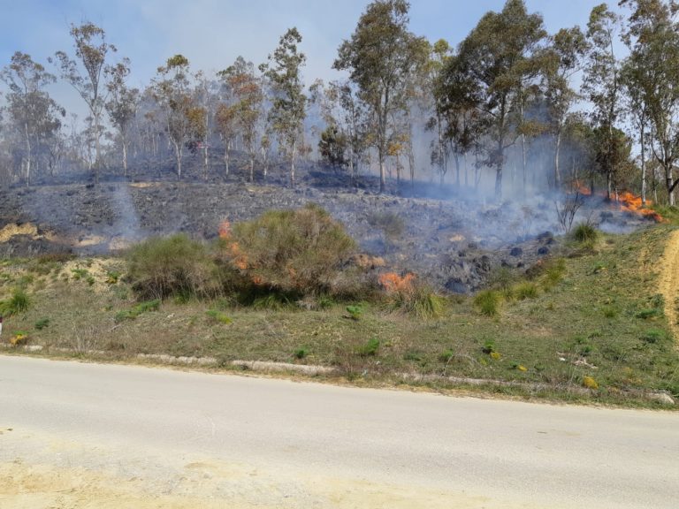 Incendio-nei-pressi-del-bivio-furma