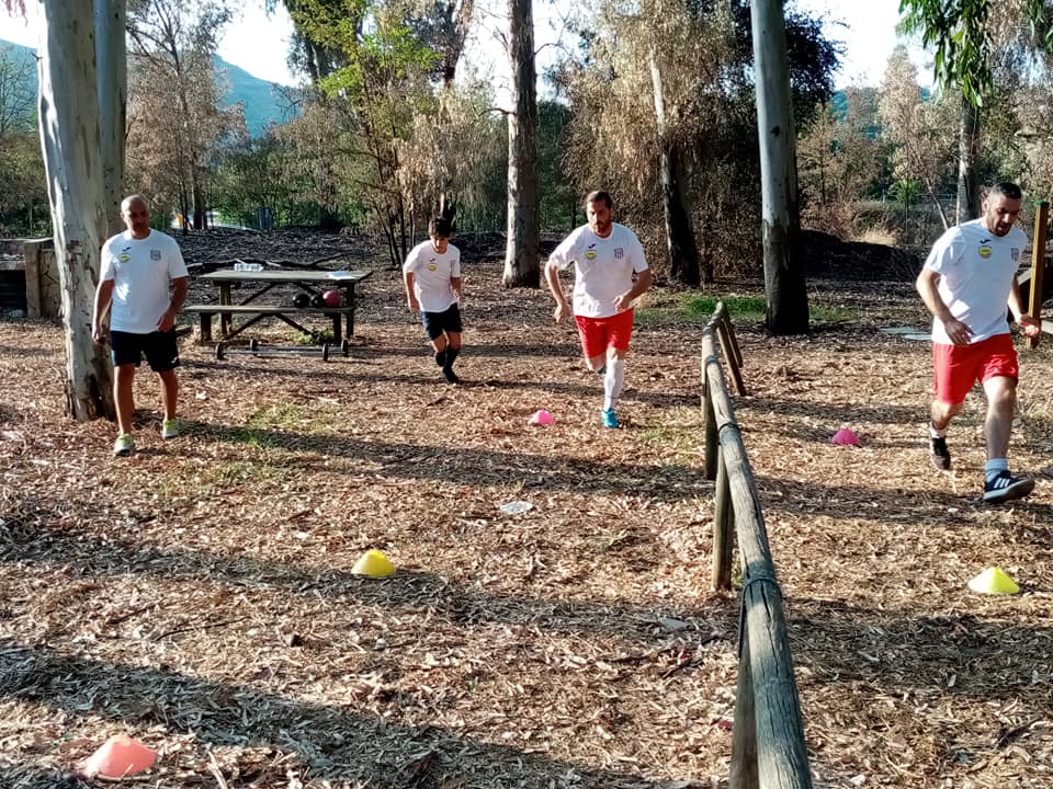 armerina