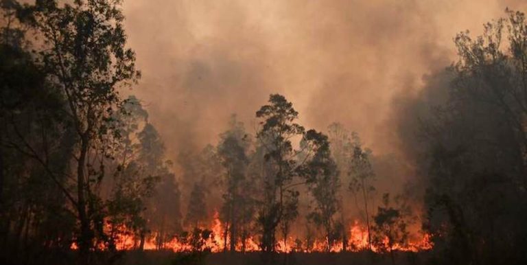 incendio furma
