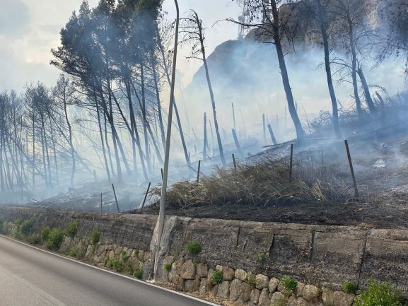 incendio monte cantina