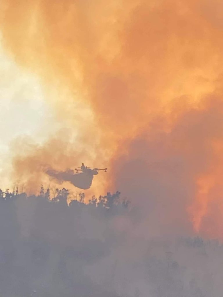 incendio ronza