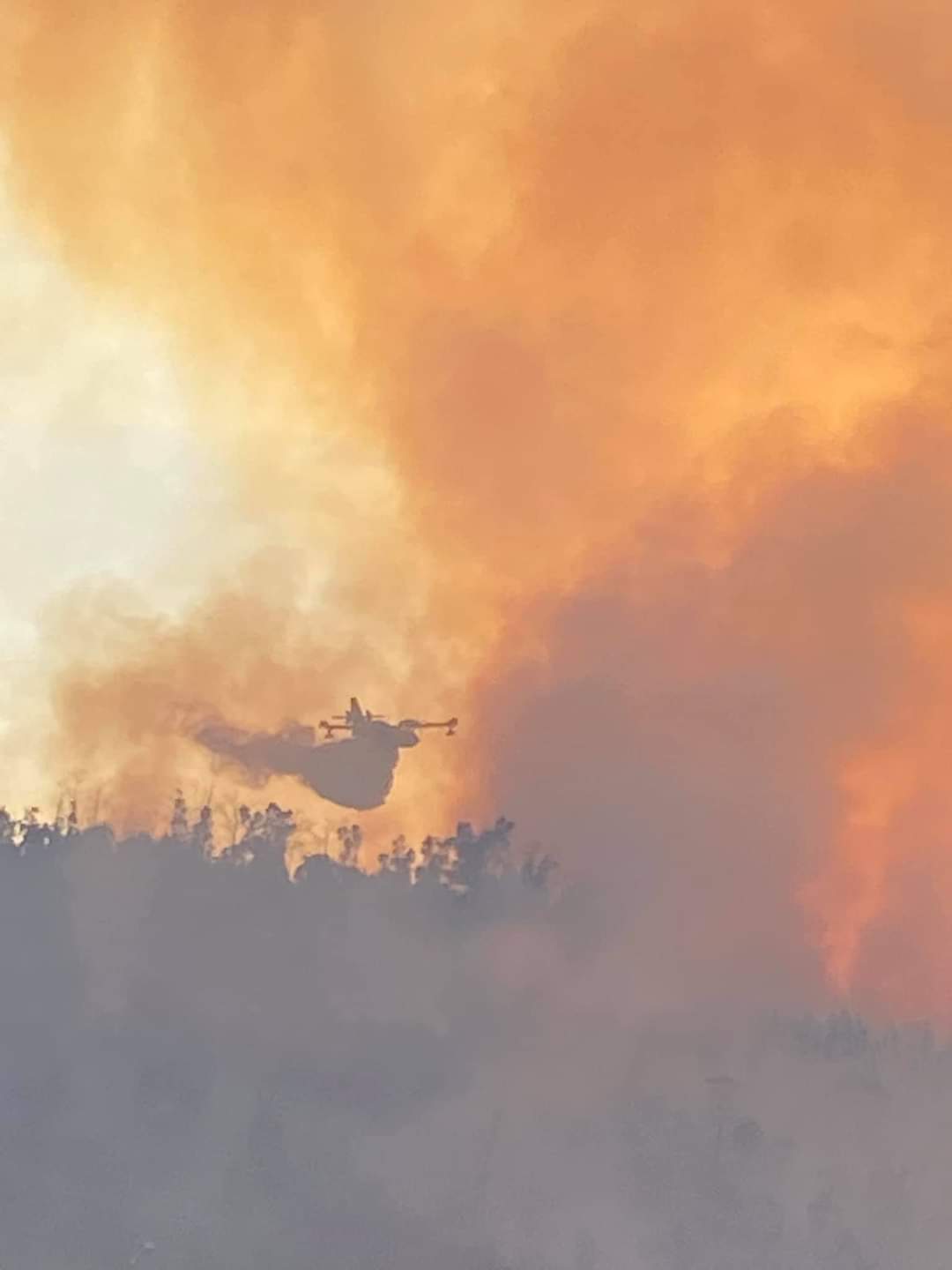 incendio ronza