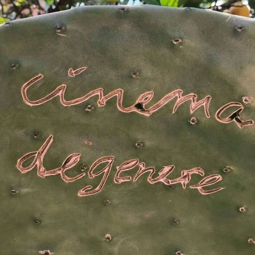 cinema degenere pala