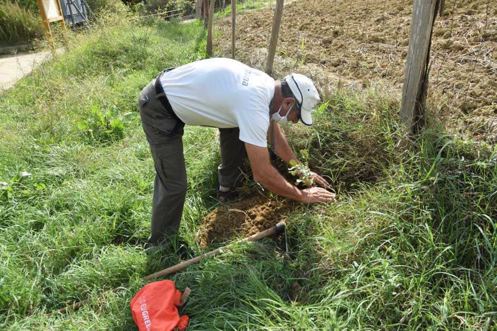 Green week Vallone Foto 2