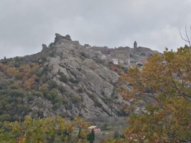 cerami
