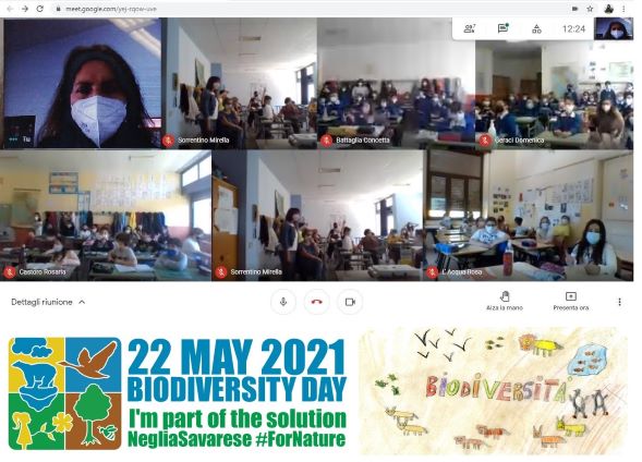 Neglia_Foto_online