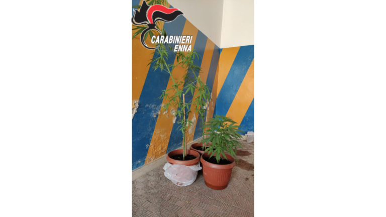 foto pietraperzia