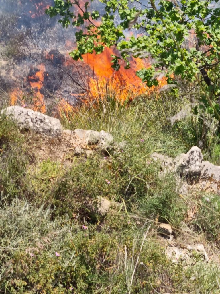 incendi 4