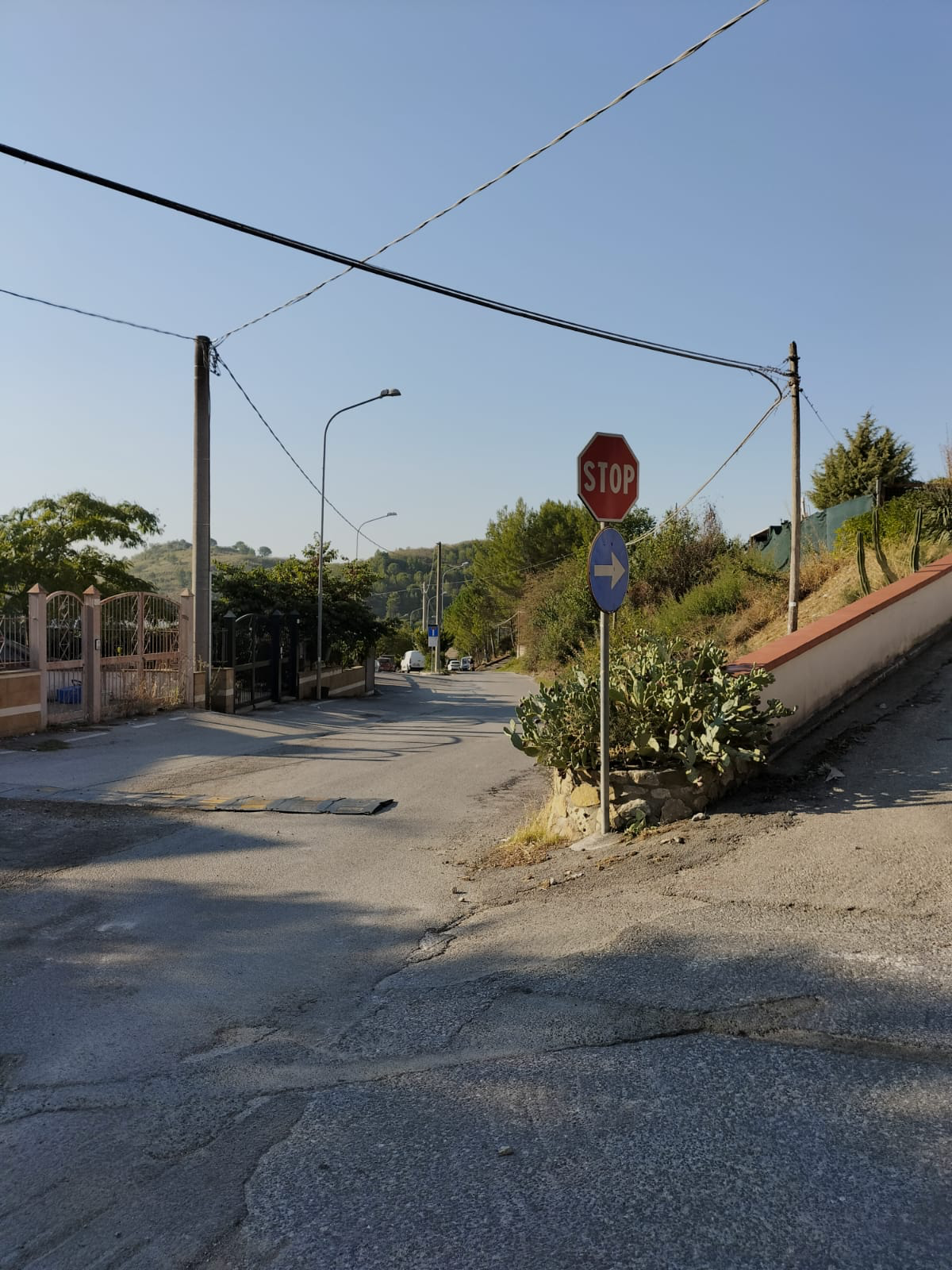 curcio staglio