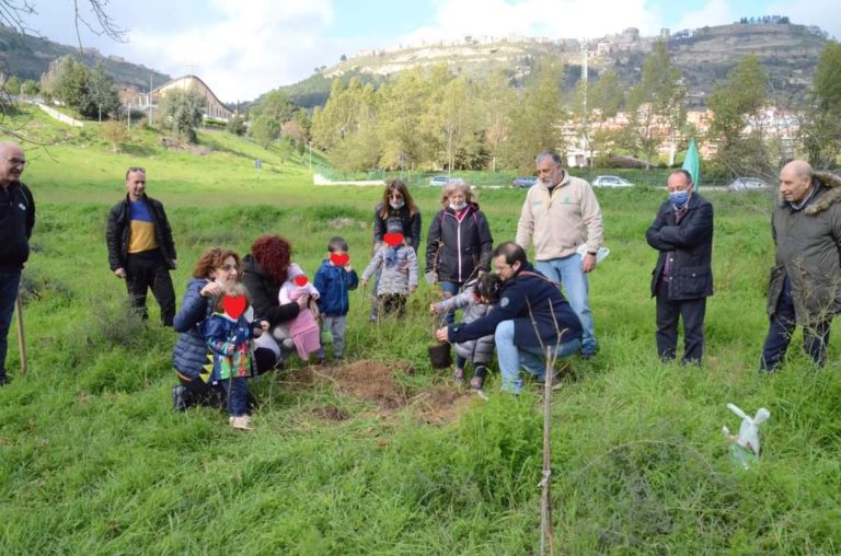 alberi
