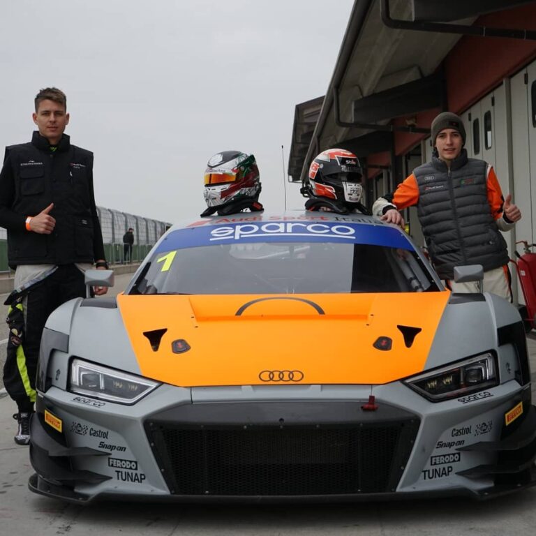 audi patrinicola