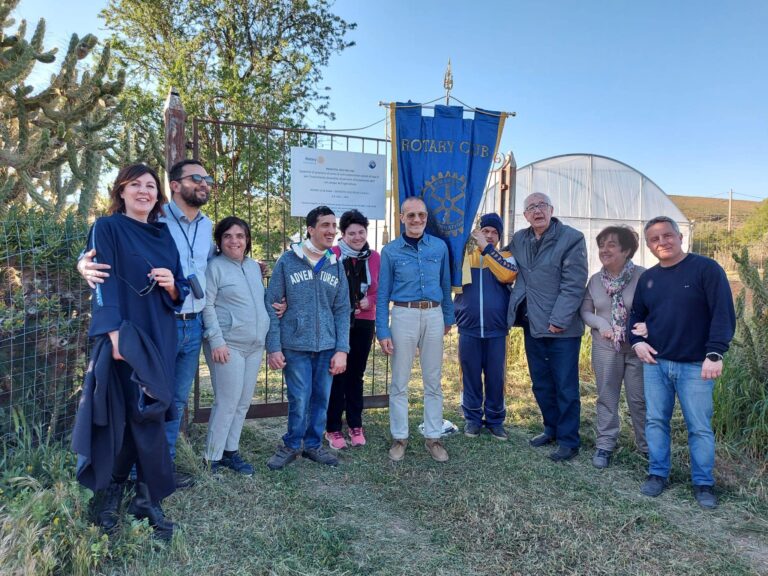 cooperativa bee coop