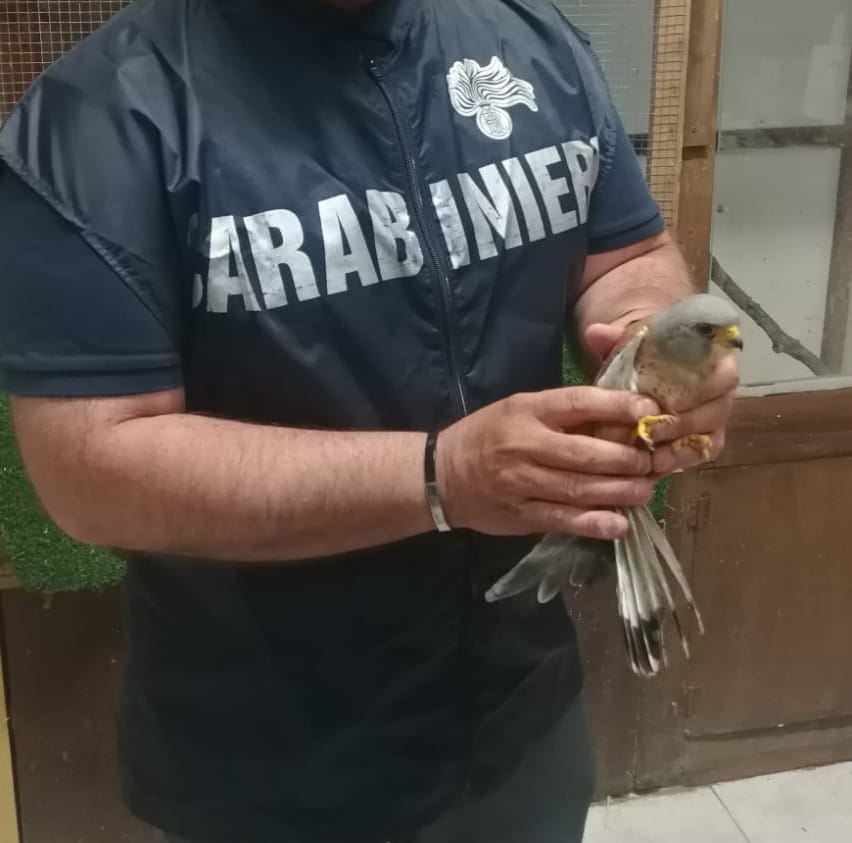 carabinieri forestali