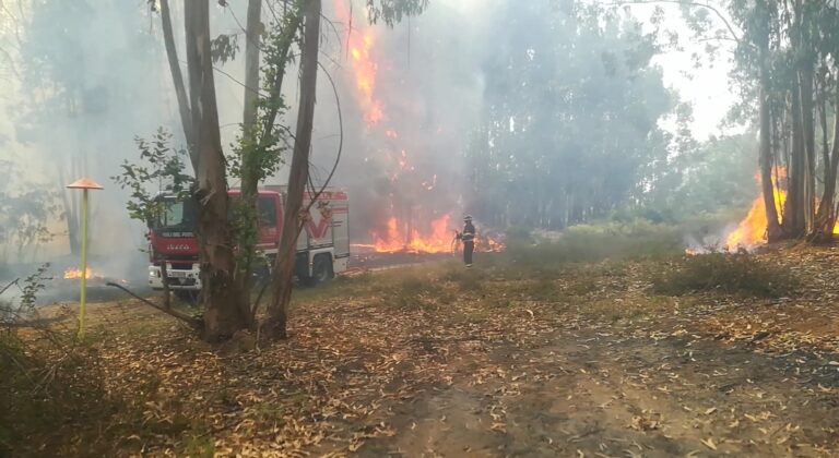 foto incendio bellia