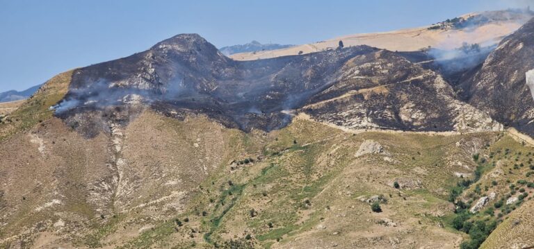 zona incendio nicosia