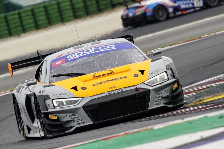 audi patrinicola 1