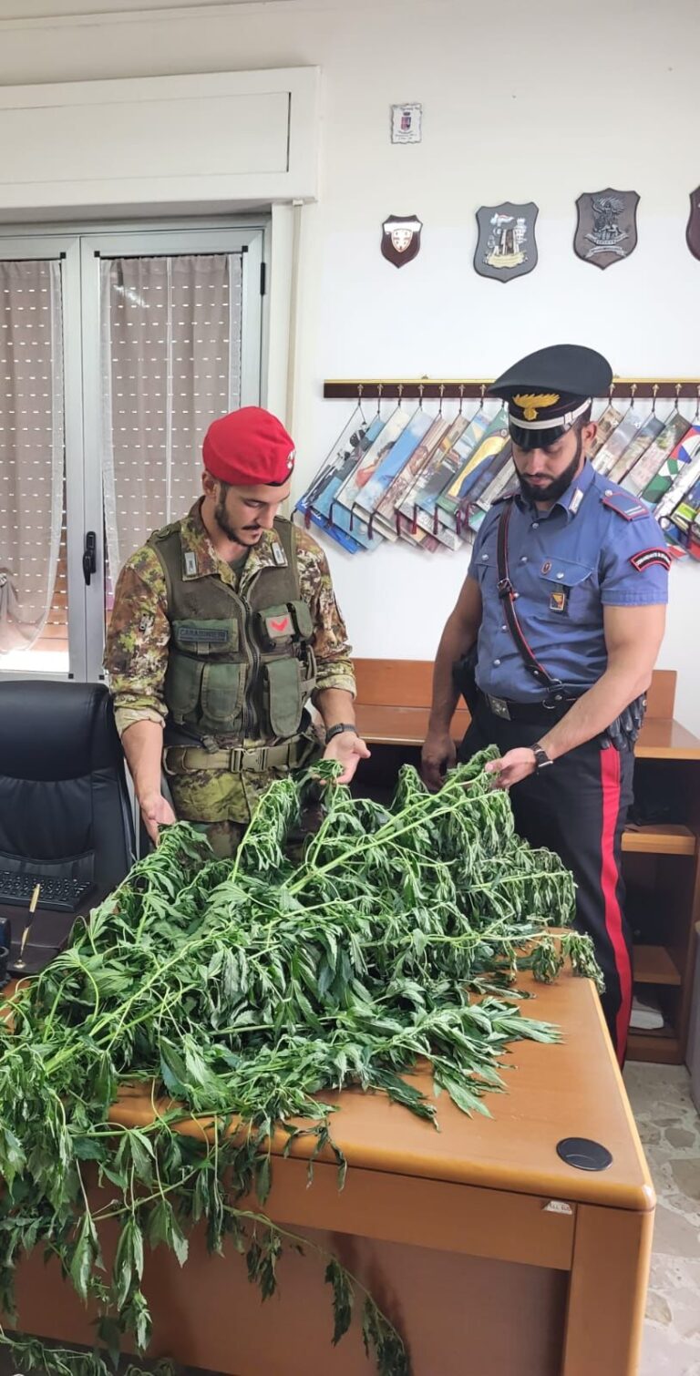 carabinieri mariuana