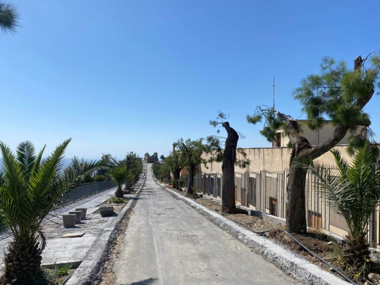 corradino