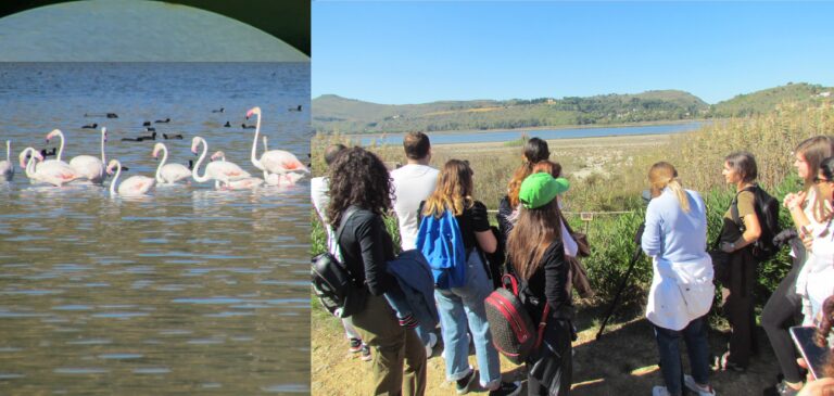 gruppo digiscoping