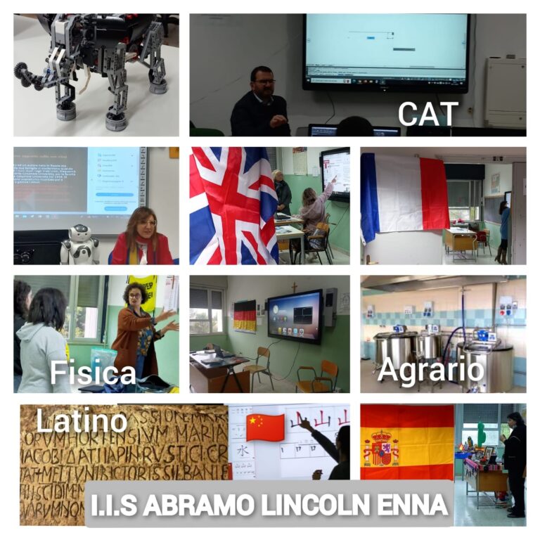 offerta formativa Lincoln