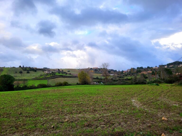 meteo 23