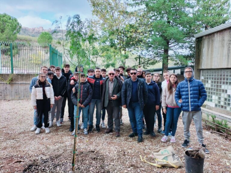 scuola lincoln