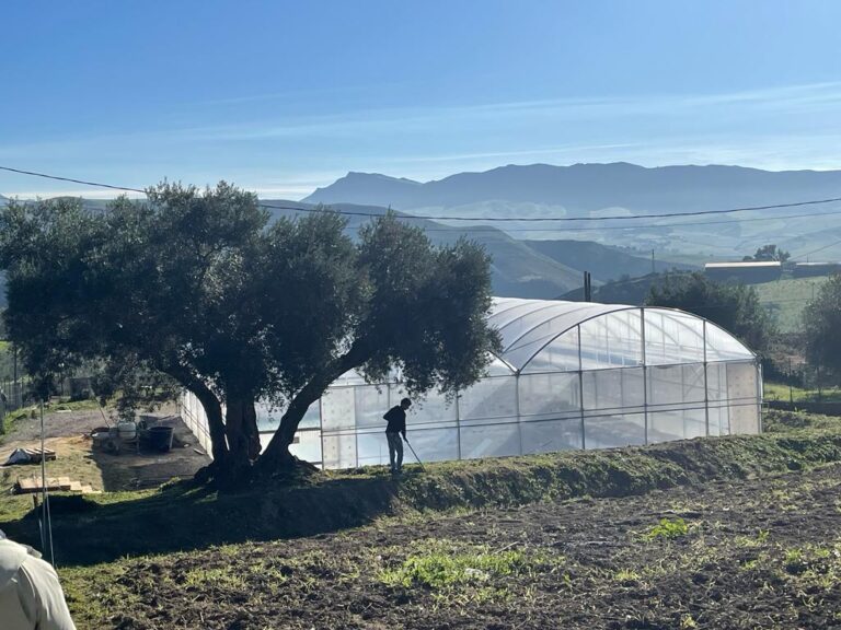 FOTO SERRA VILLAROSA