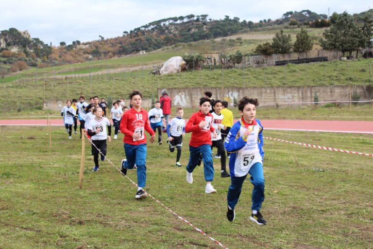 campestre 1