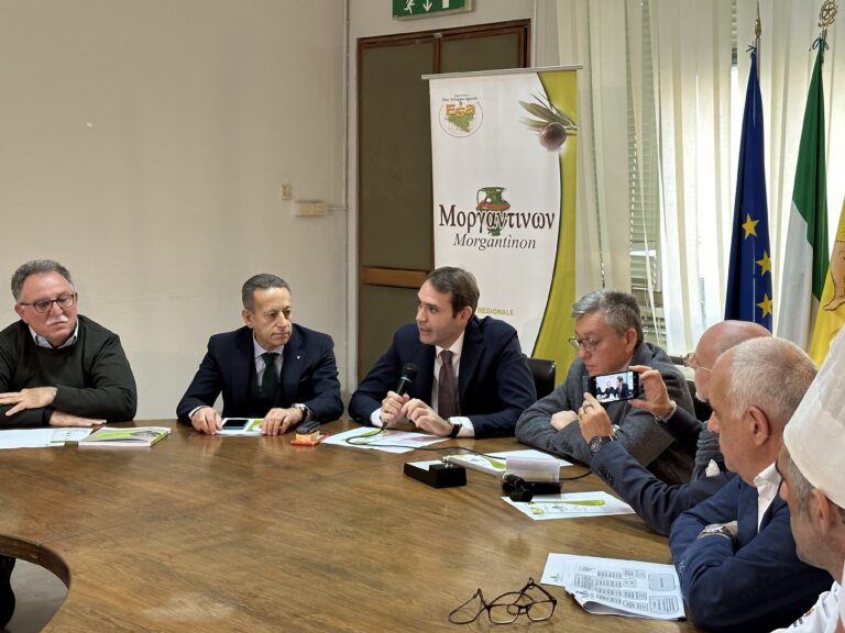 concorso morgantina