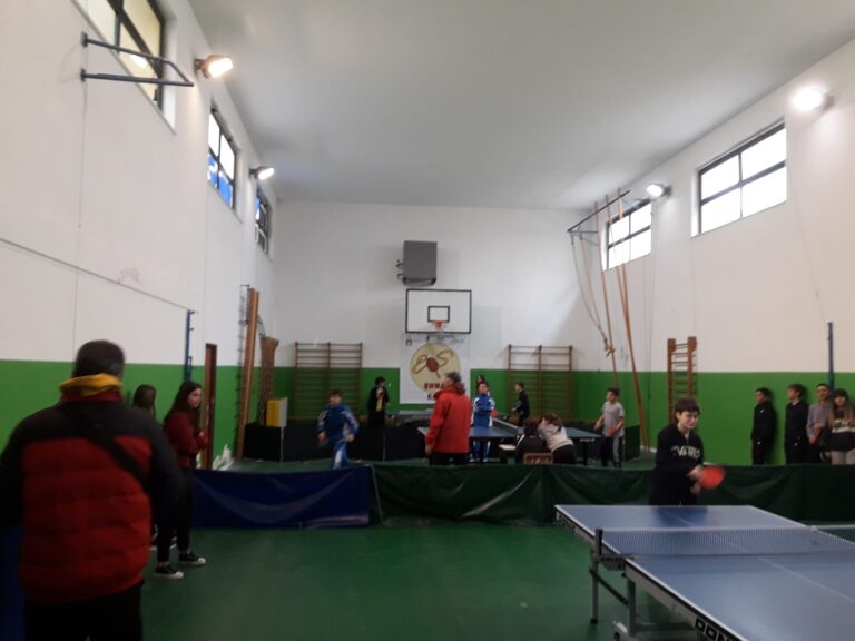 tennis tavolo scuola