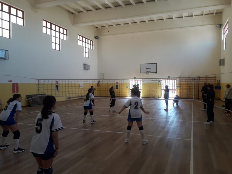 pallavolo studenteschi