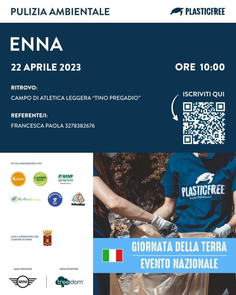 pulizia ambientale