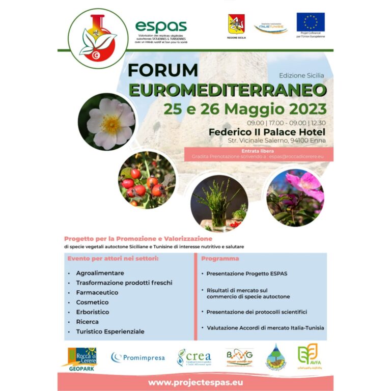 forum euromediterraneo
