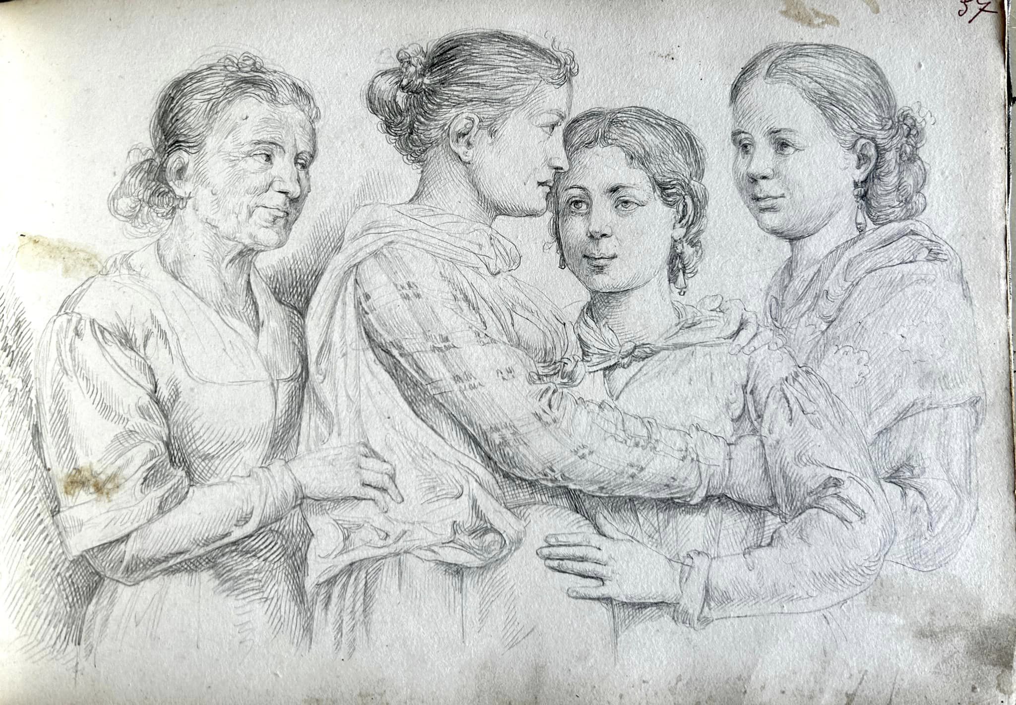 disegni