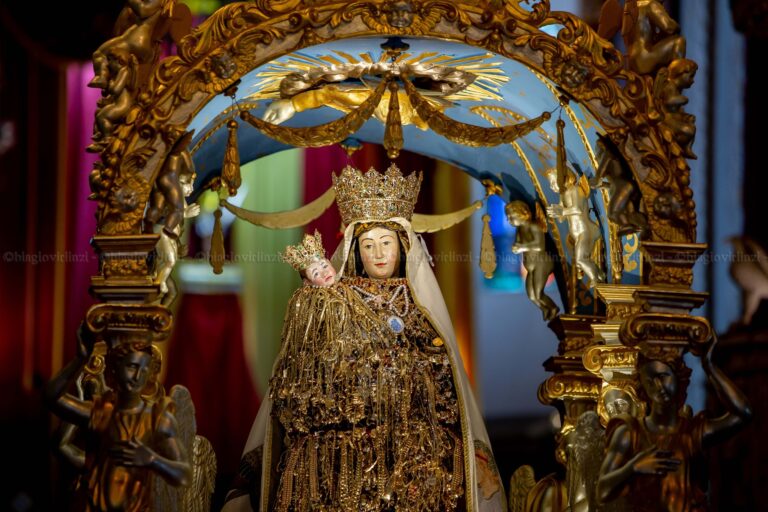 patrona