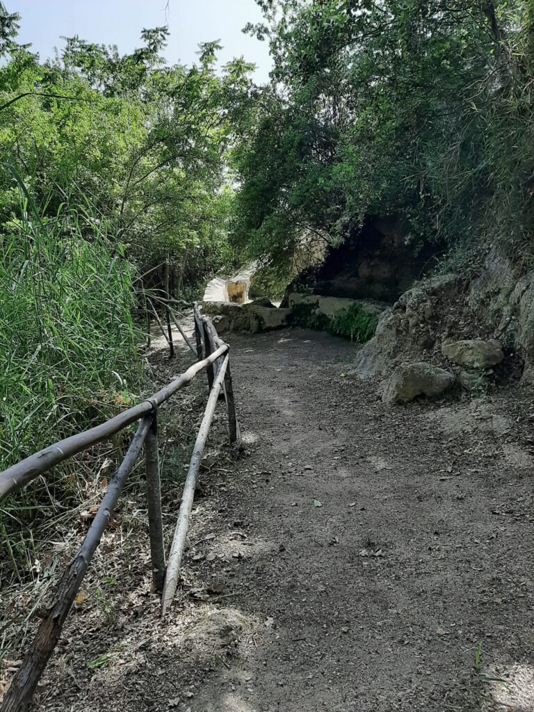 pulizia villaggio bizantino