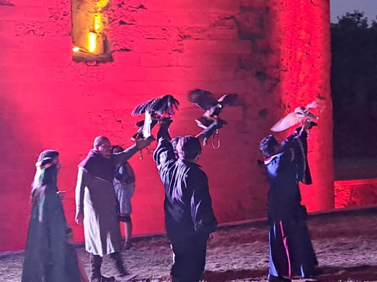 serata alla torre di federico