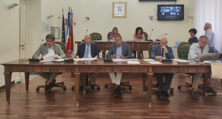 assemblea dei sindaci