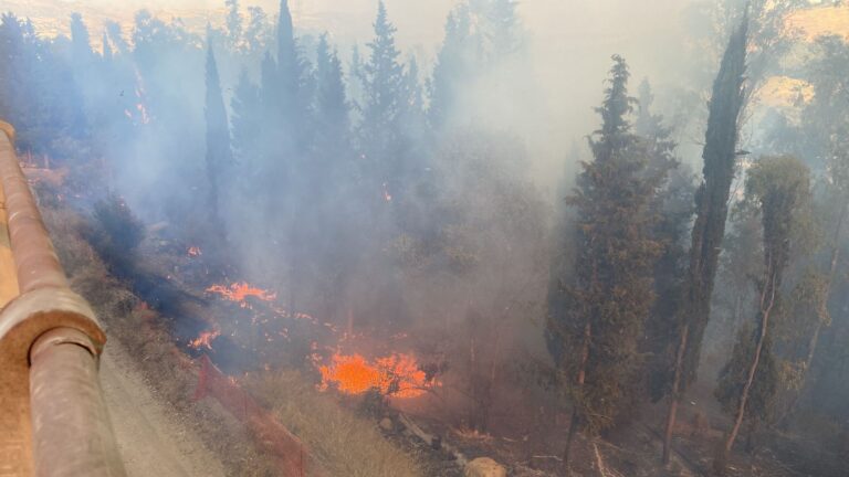 incendio pendici