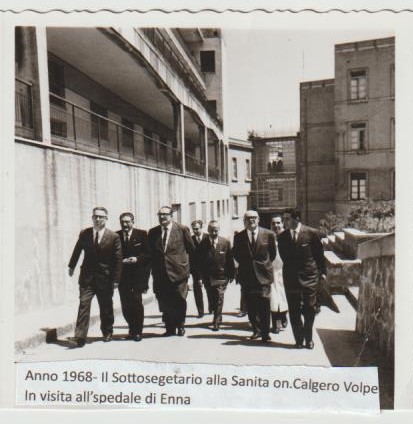 volpe - Copia