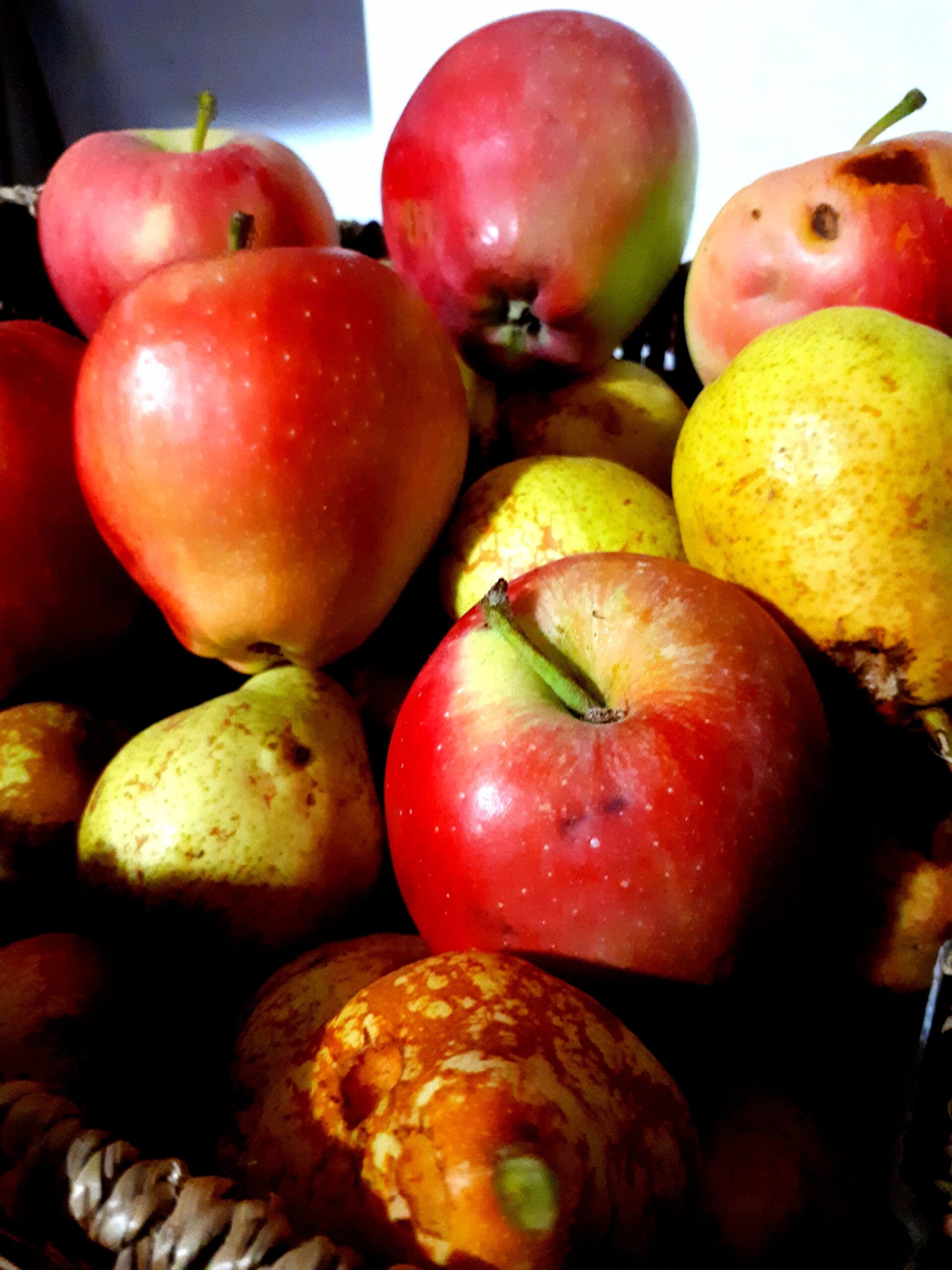frutta